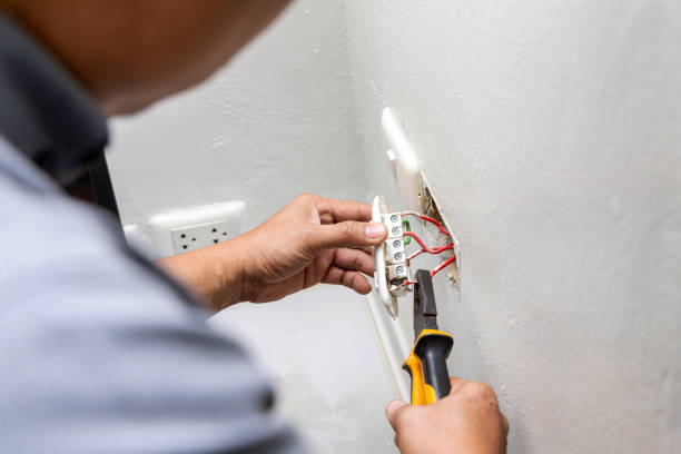 Best Electric Panel Repair  in North Charleston, SC